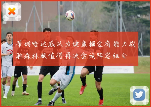 蒂姆哈达威认为健康掘金有能力战胜森林狼值得再次尝试阵容组合
